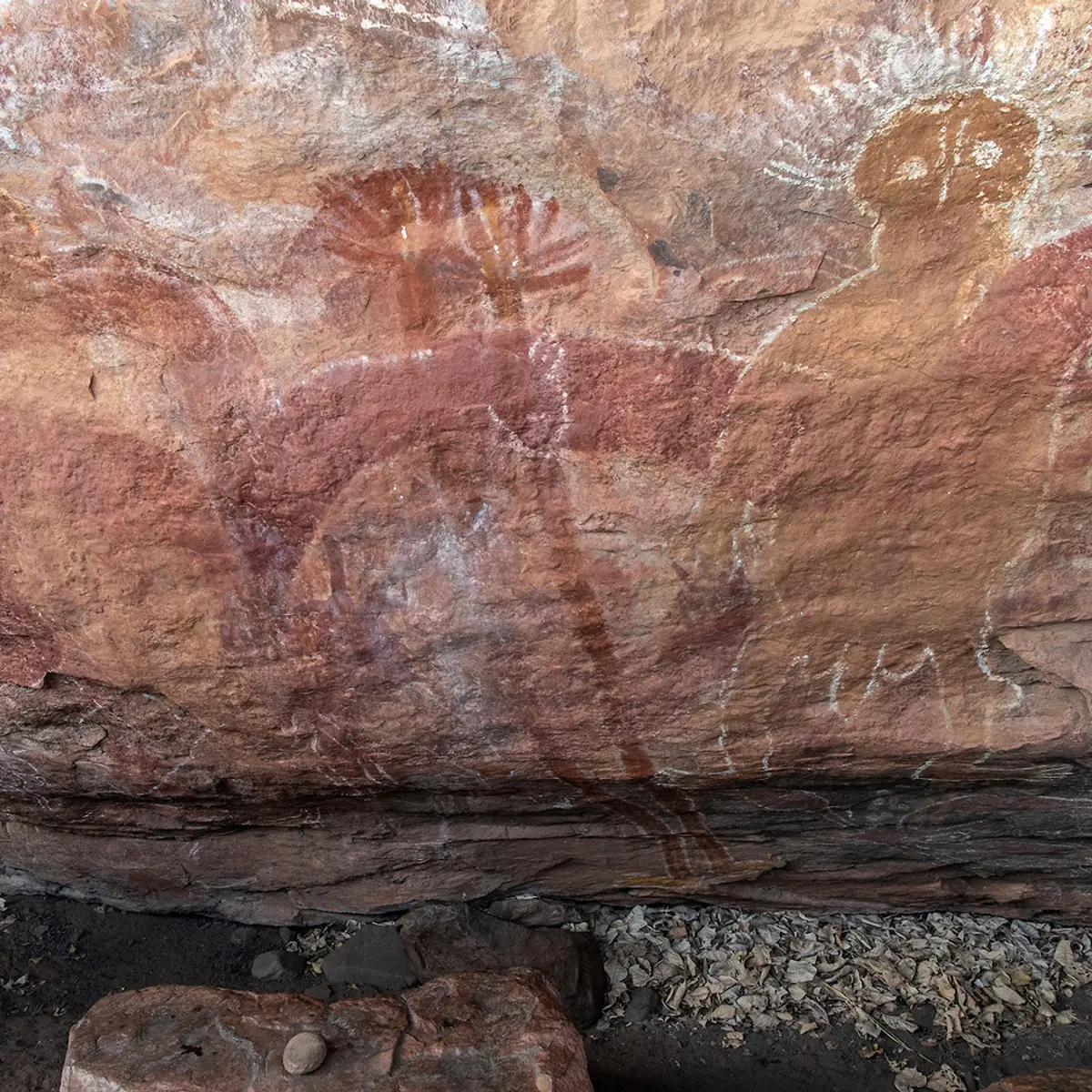 Bullo River Station, Baines, Australia 6