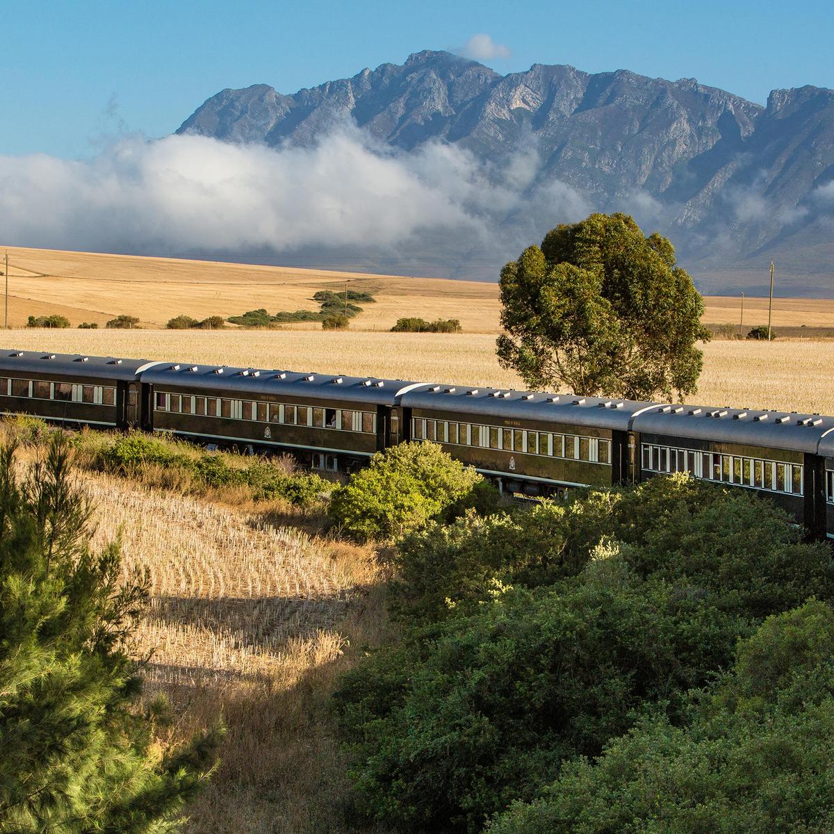 Limited Time Offer: Ultra-Lux 12-Day Private South Africa Safari with Rovos Rail & All-Inclusive Sabi Sands Lodge + BONUS A$1,000 Flight Credit by  2
