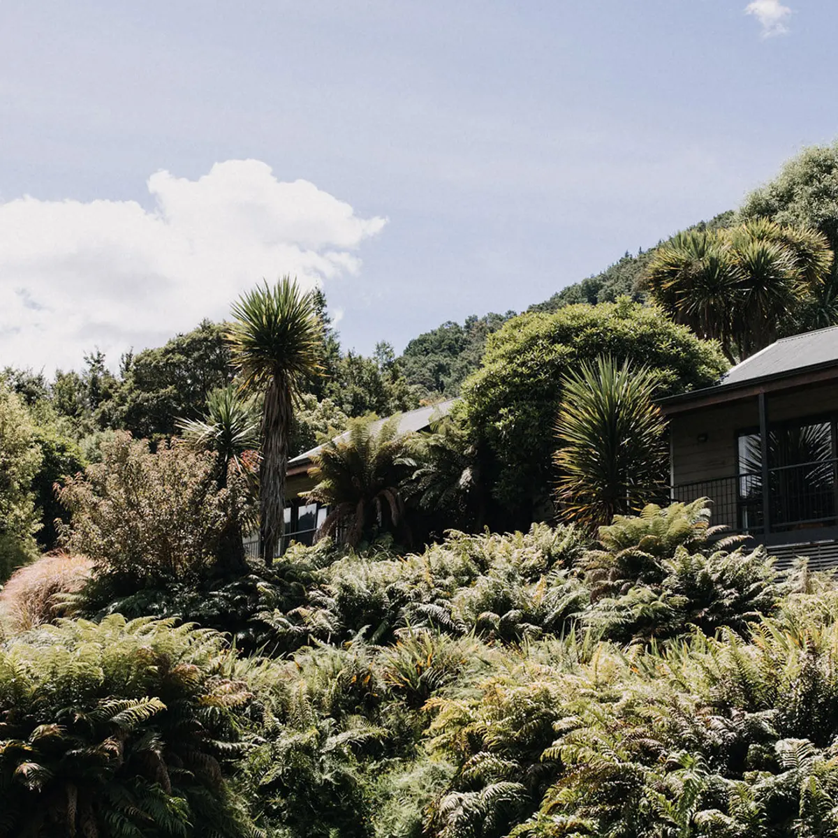 Maruia River Retreat, Nelson, New Zealand 4