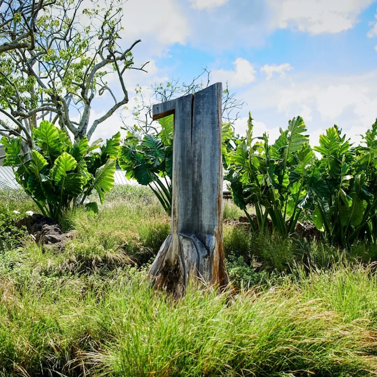 1 Hotel Hanalei Bay, Princeville, United States 8