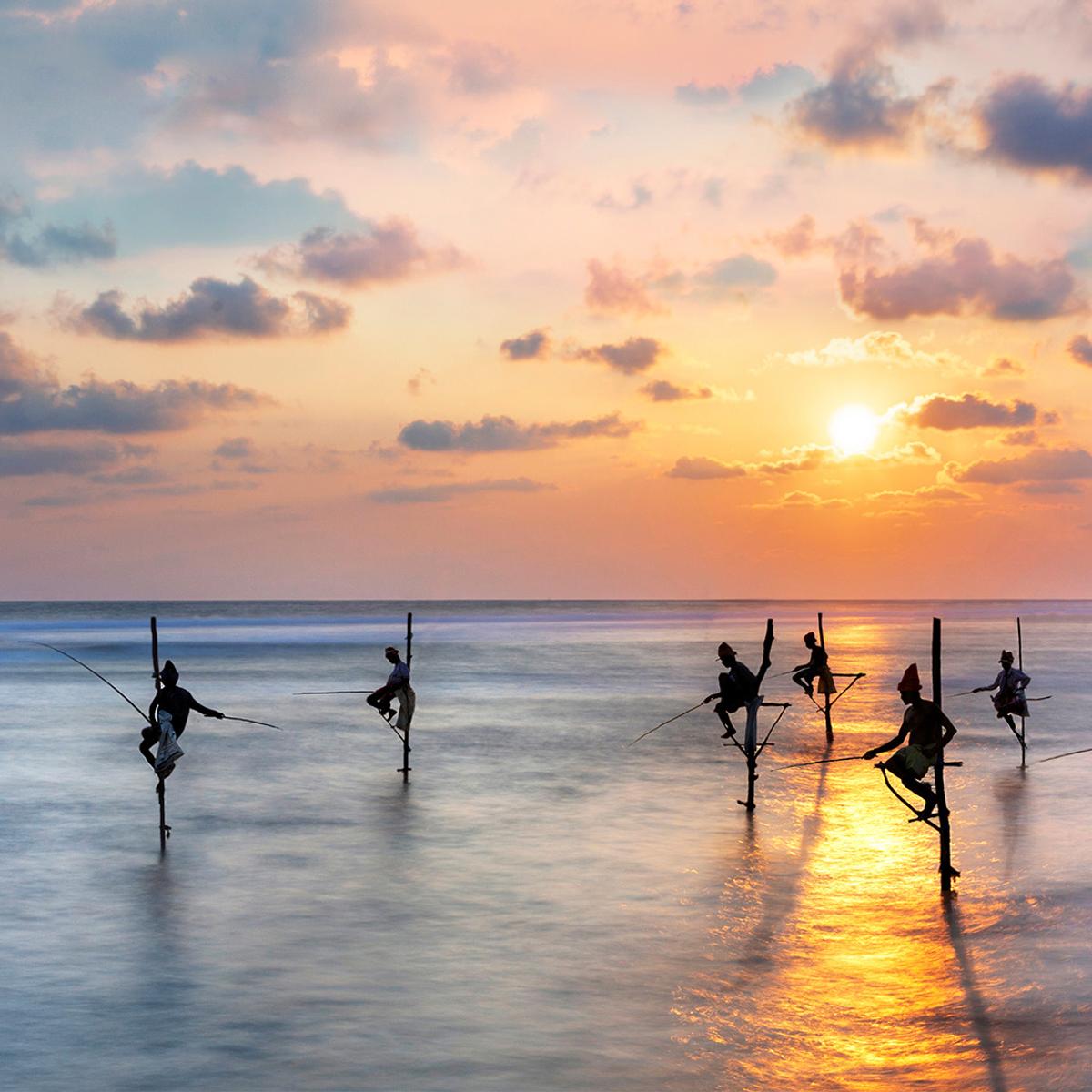 Deluxe 12-Day Best of Sri Lanka 2026 with Dambulla, Kandy & Five-Star Galle Stay by  7