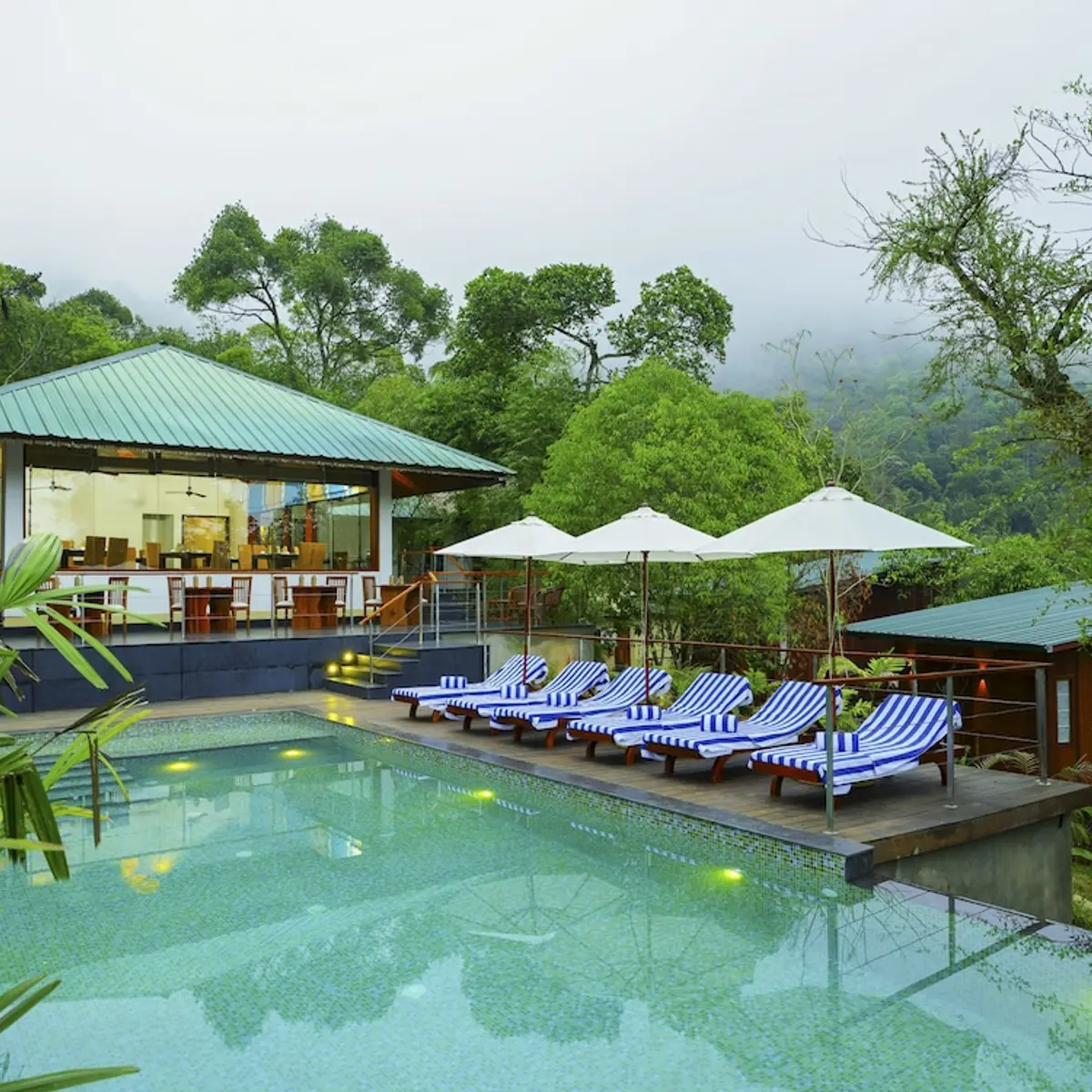 Niraamaya Cardamom Club, Peermade, India 6