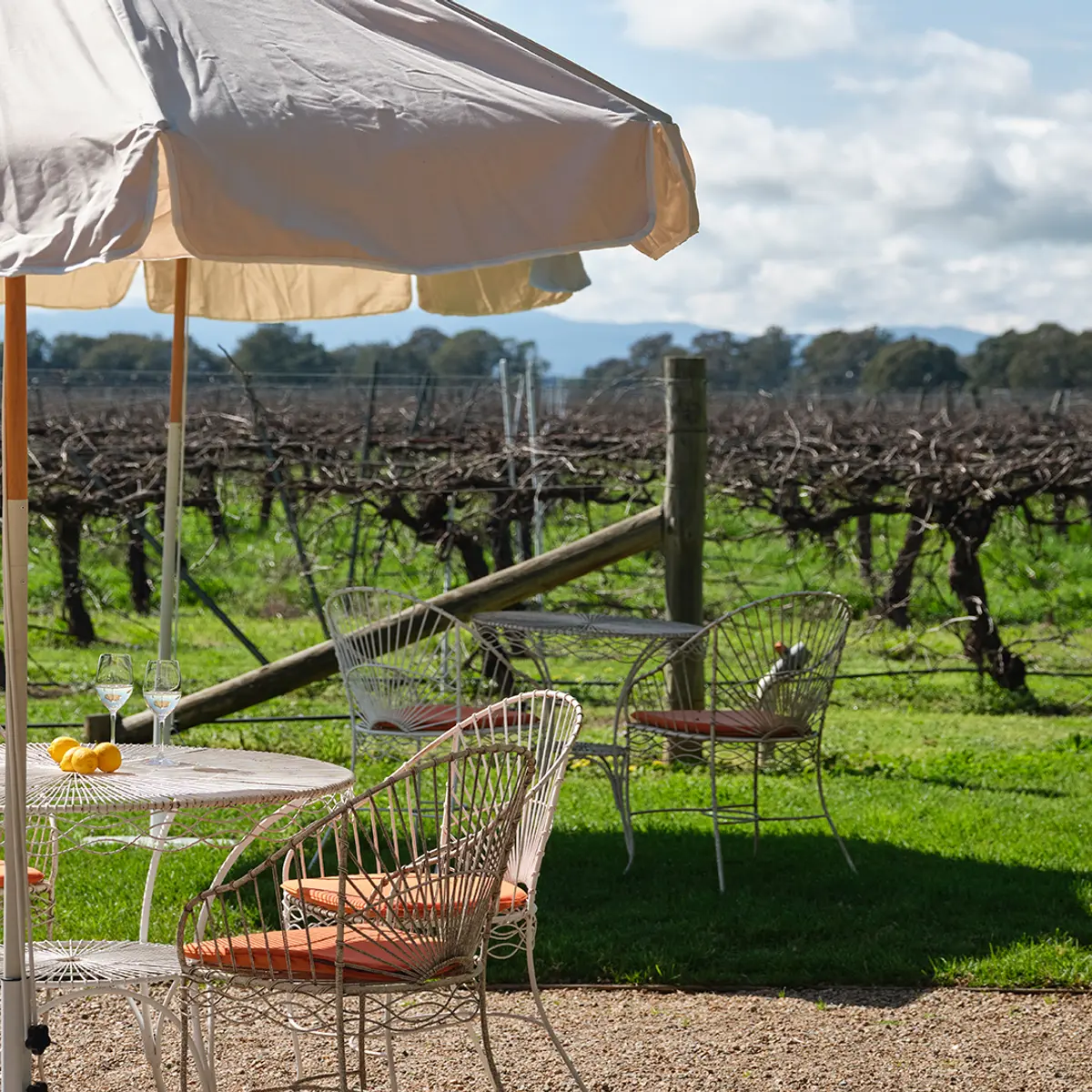 Lancemore Milawa, Milawa, Victoria 8