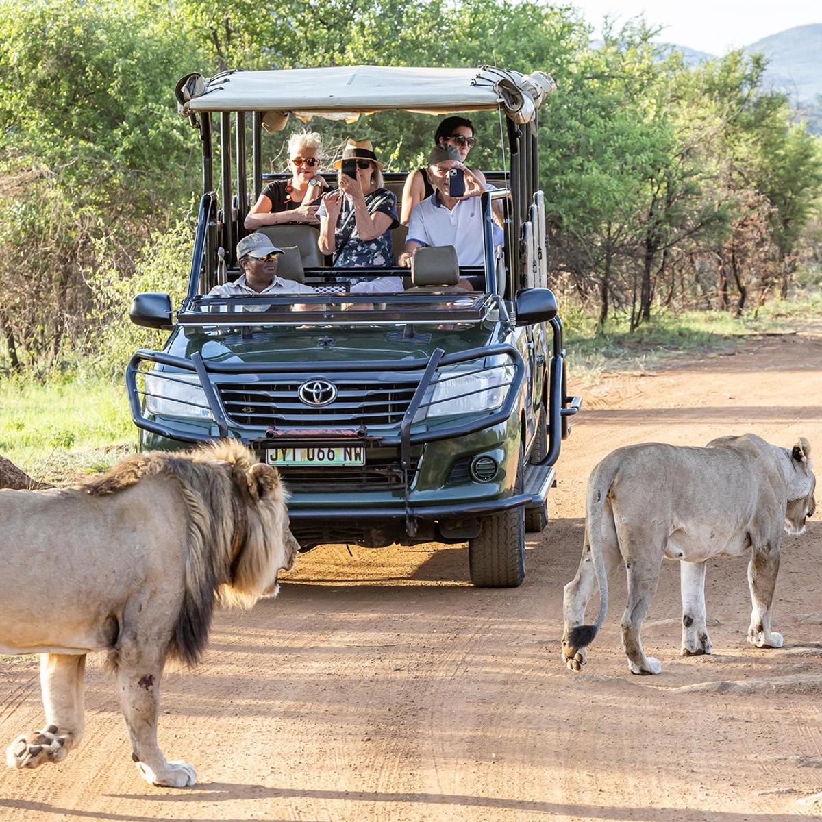 Deluxe Private 12-Day South Africa & Zimbabwe 2027 Tour with Five-Star Safari Lodge & Victoria Falls by  2
