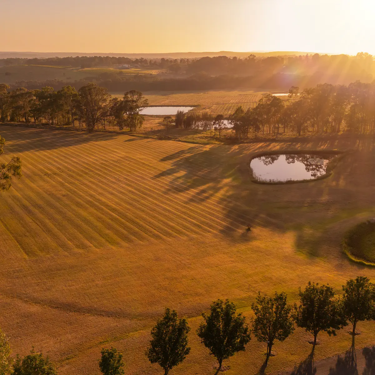 voco™ Kirkton Park Hunter Valley by IHG, Hunter Valley, NSW 4