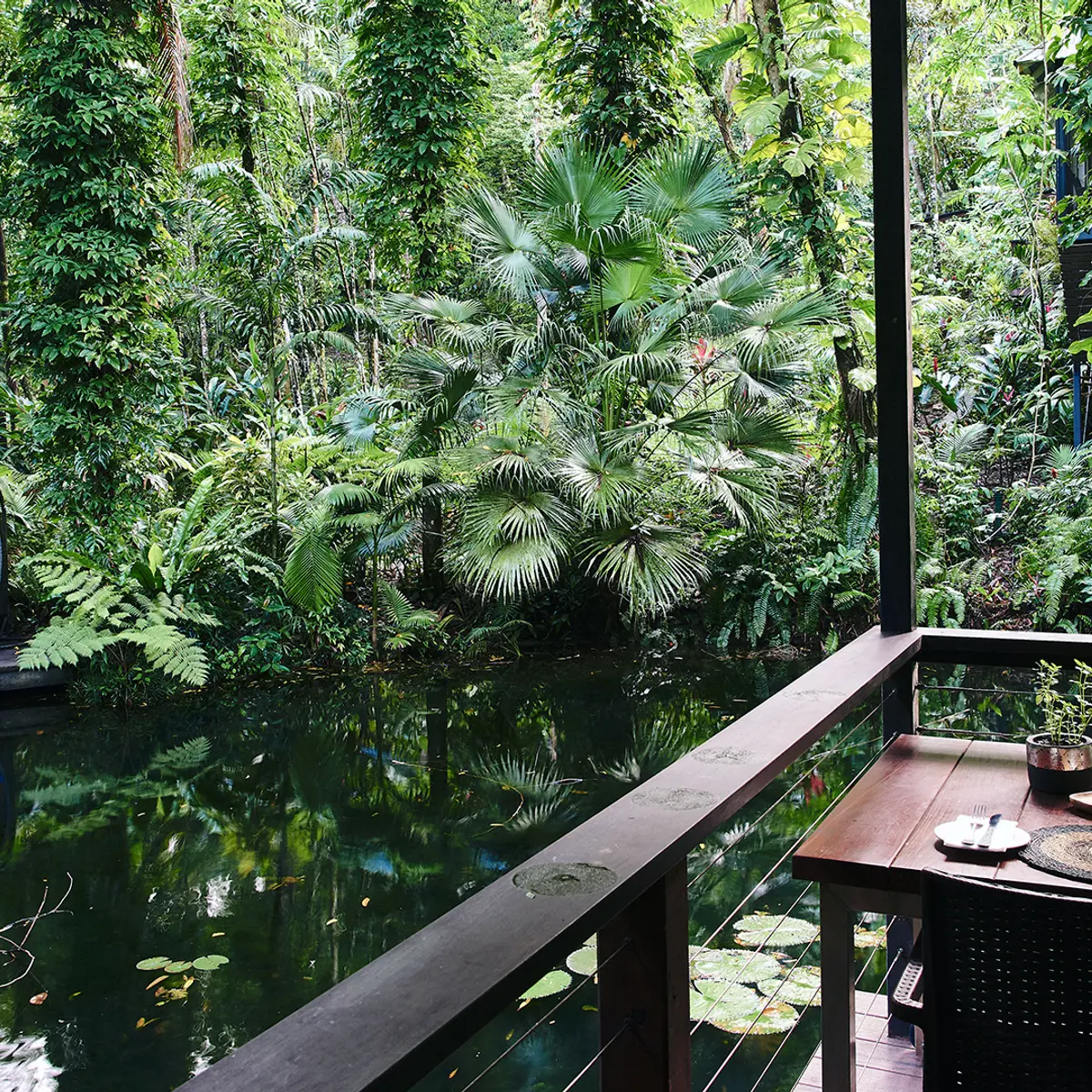 Daintree Ecolodge, Daintree-Regenwald, Queensland 5