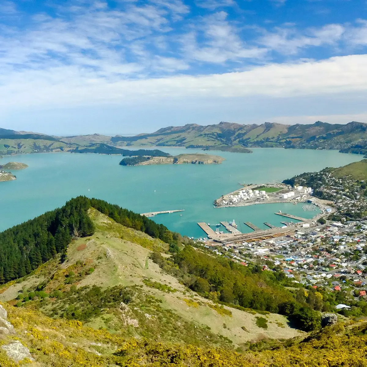 Hotel Montreal, Christchurch, New Zealand 3