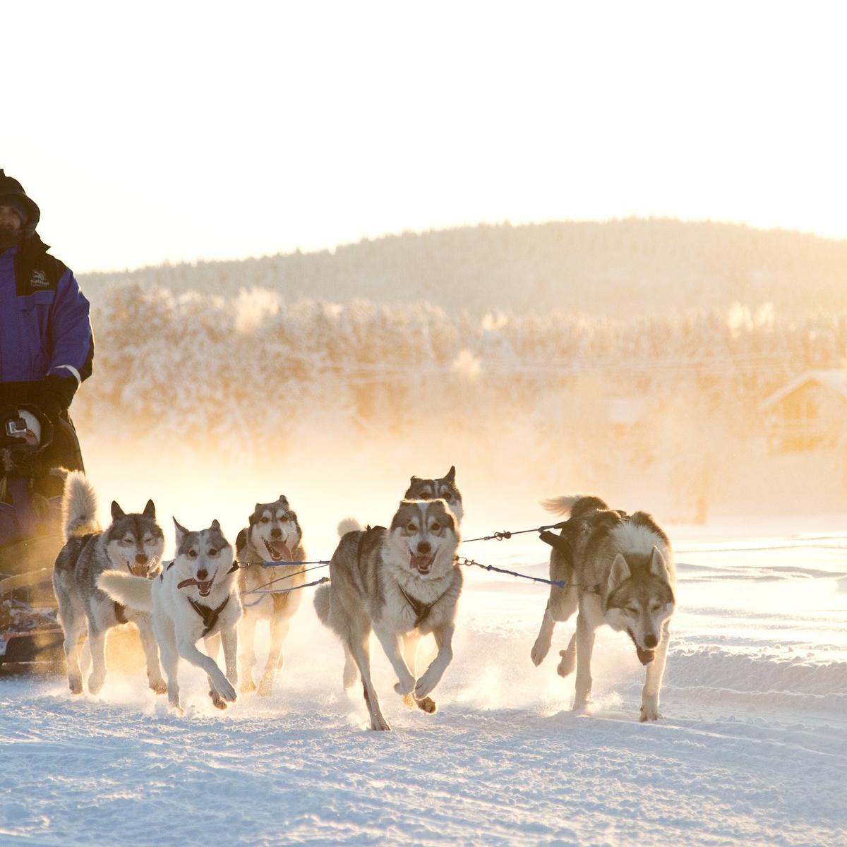 Deluxe 14-tägiges Winterabenteuer zu den Nordlichtern in Finnland und Norwegen 2028 mit einer Küsten- und Fjordkreuzfahrt von Havila Voyages von  6