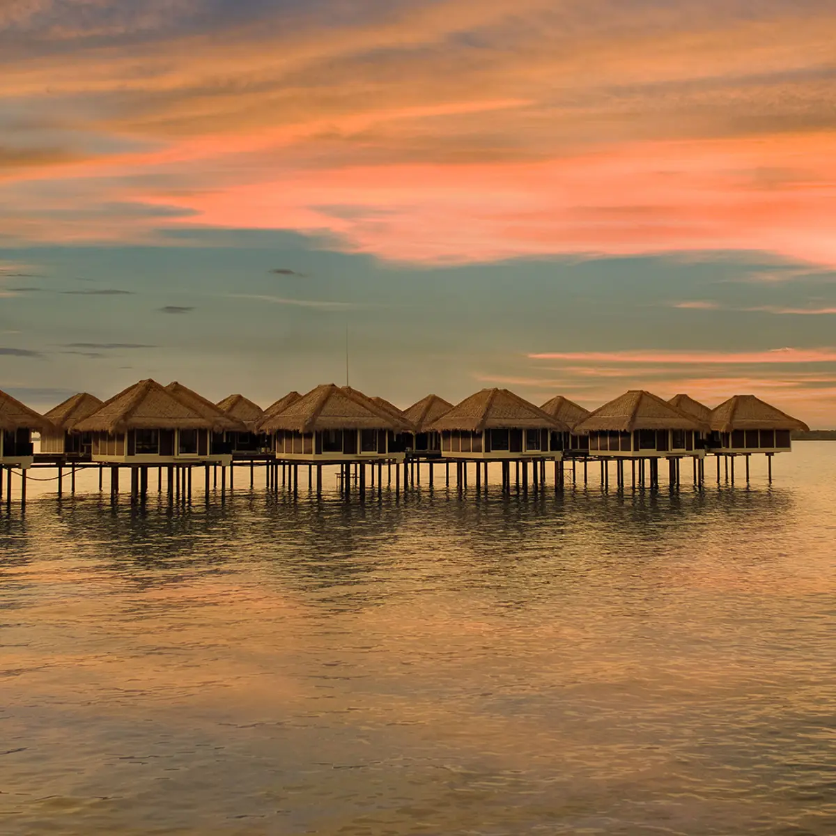 Golden Palm Tree Malaysia, Sepang, Malaysia 4