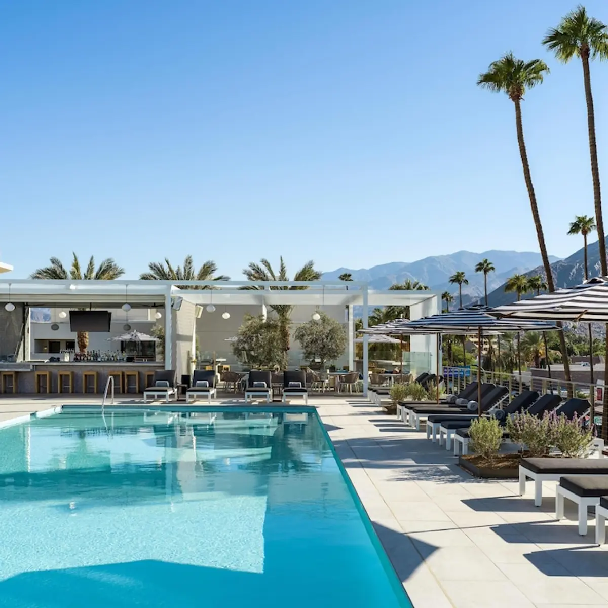 Thompson Palm Springs, by Hyatt, Palm Springs, United States 7