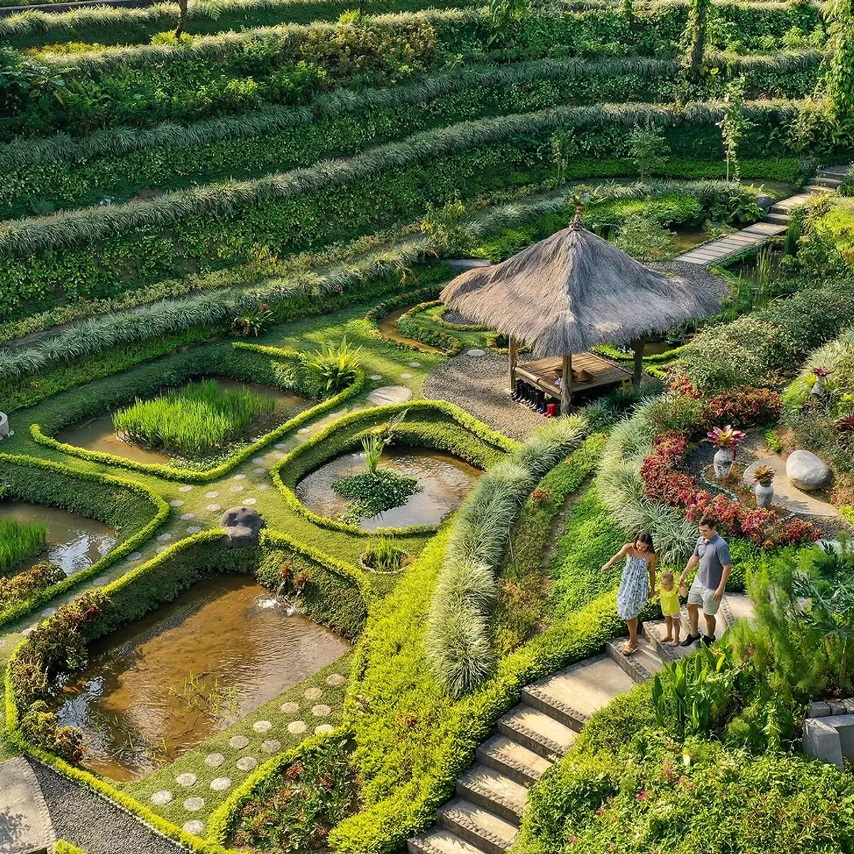 Padma Resort Ubud, Ubud, Bali 6
