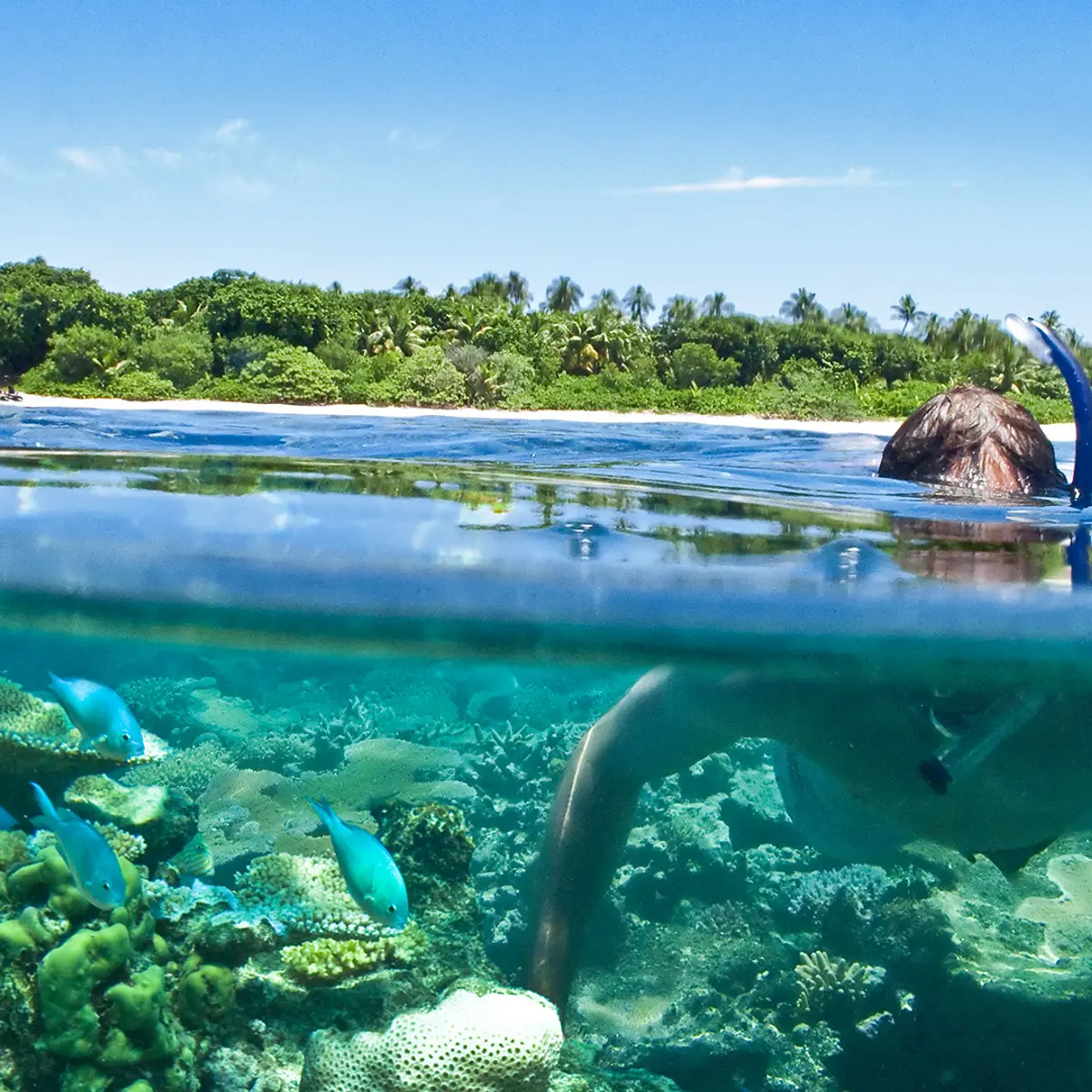 VOMO Island Fiji, Vomo Island, Fiji 5