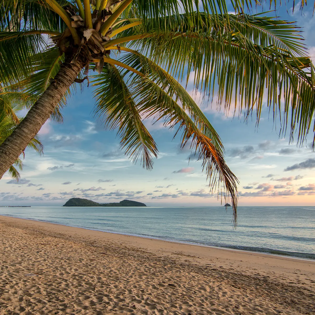 Drift Palm Cove, Palm Cove, Queensland 8