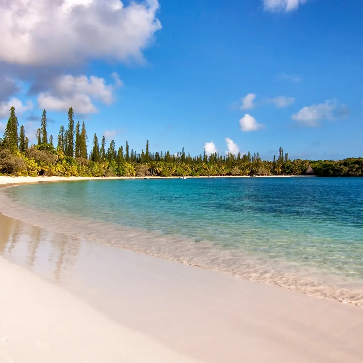 9-Night South Pacific Voyage from Sydney on Anthem of the Seas with Anthem of the Seas 5