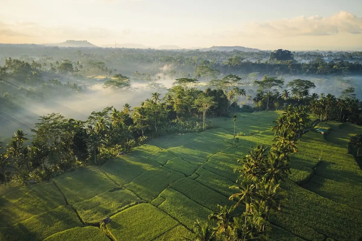 Ubud Mas Glamping Luxury Tent, Mas, Indonesia 1