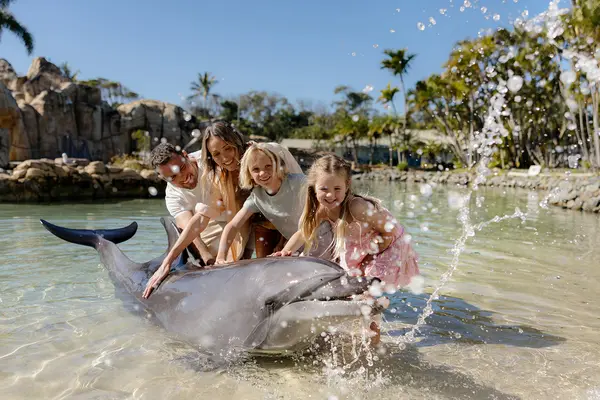 Sea World Resort, Gold Coast, Queensland 1