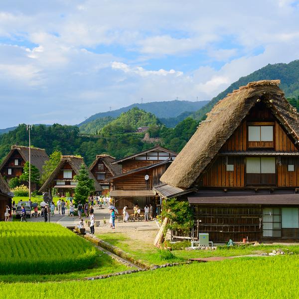 Deluxe 14-Day Best of Japan with Tokyo, Hiroshima & Osaka  by  8