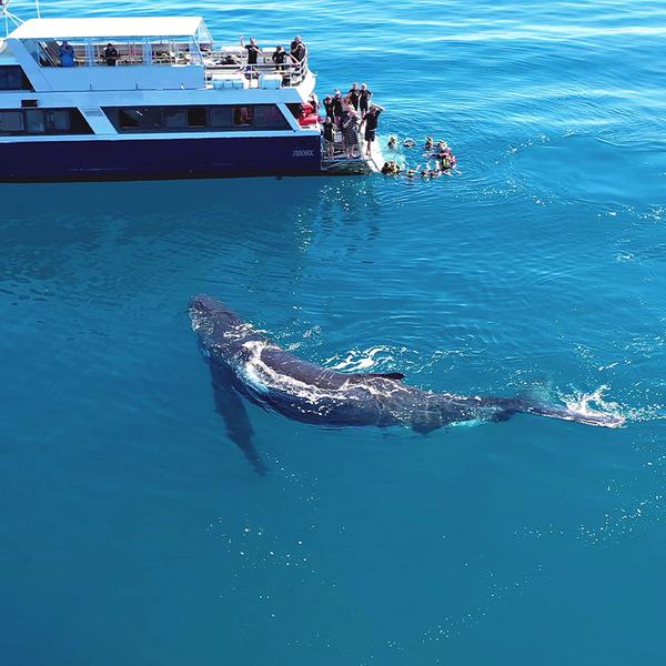 Full-Day K'gari (Fraser Island) Cruise with Return Hotel Transfers & Buffet Lunch  2
