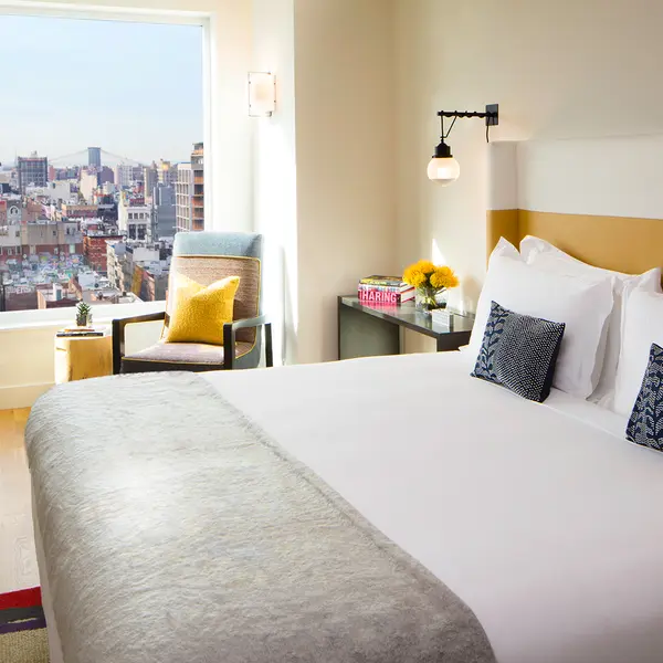 Hotel Indigo Lower East Side, New York, an IHG Hotel, New York, United States 3