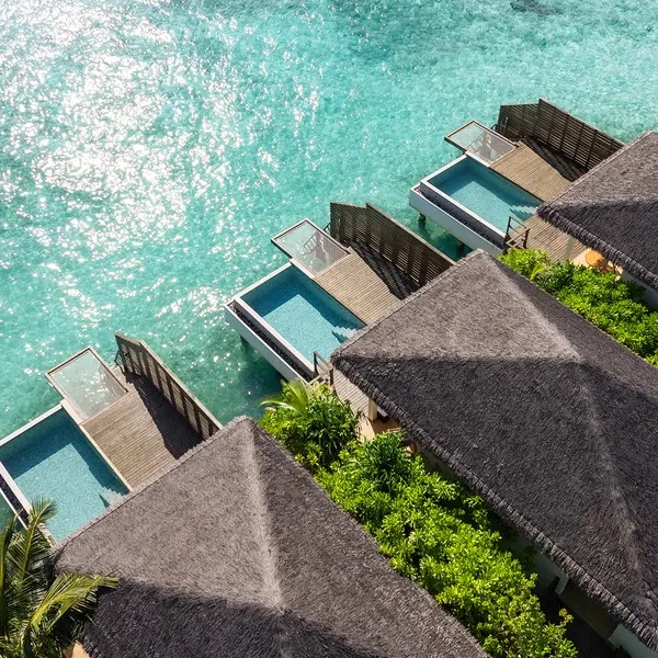 dusitD2 Feydhoo Maldives, North Malé Atoll, Maldives 8