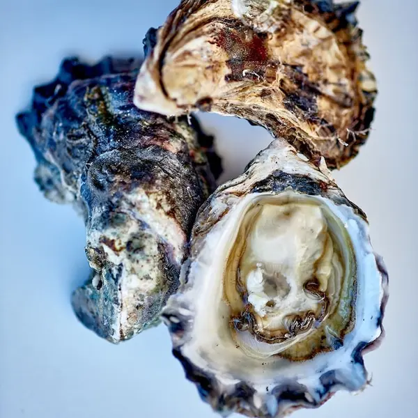 Bannisters Port Stephens, Soldiers Point, Australia 6