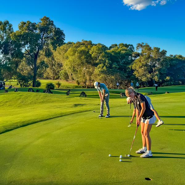 Perth: Guided Kangaroo Safari Sunset Tour with 18-Holes of Mini Golf & Drink  2