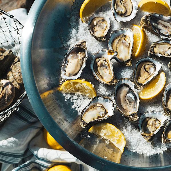 Immersive Oyster Farm Boat Tour & In-Water Dining Experience with Oyster Tasting 3
