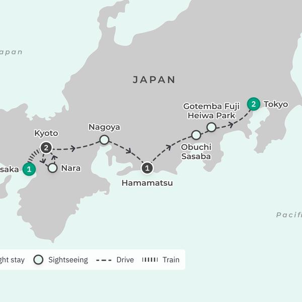 Japan Highlights with Bullet Train Journey & Nara Visit by Luxury Escapes Tours 3