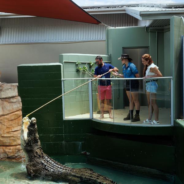 Darwin: Full-Day Entry to Crocosaurus Cove with VIP Crocodile Feeding Experience & Guided Tour 2