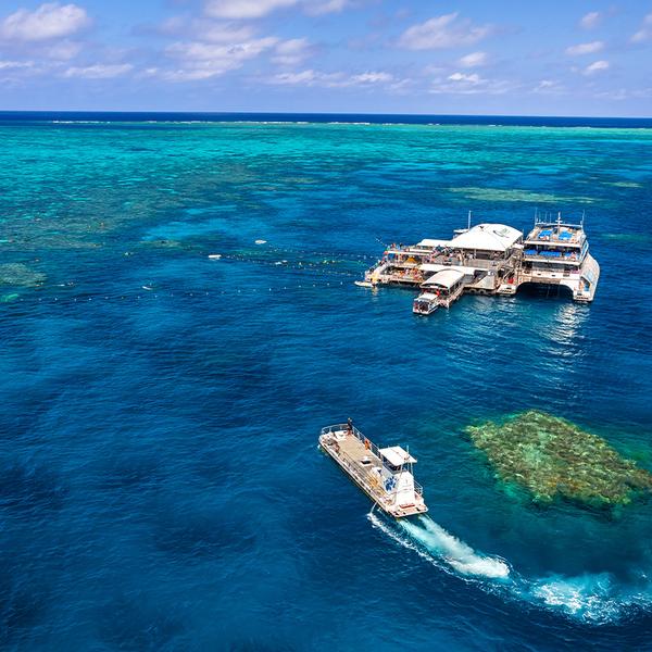 Full-Day Outer Barrier Reef Snorkelling Tour with All Equipment & Tropical Lunch 2