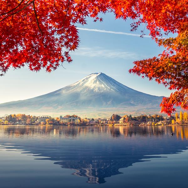 Best of Japan with Mount Fuji Visit & Shinkansen Journey by Luxury Escapes Tours 1