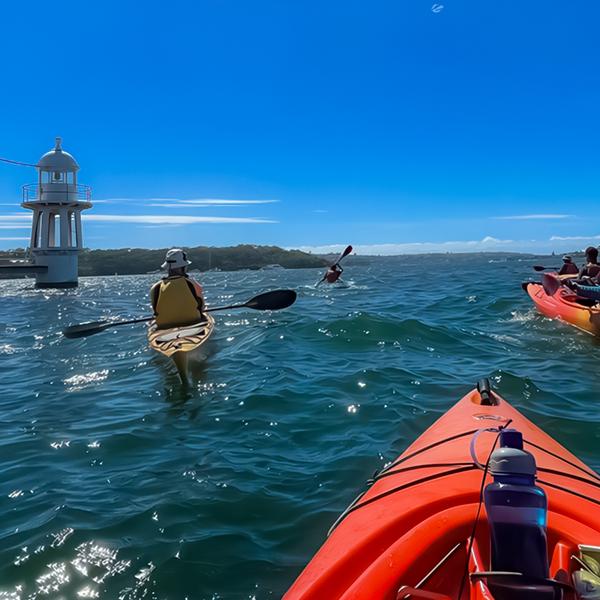 Two-Hour Sydney Harbour Sunset, Sunrise or Mid-Morning Kayak Tour 2
