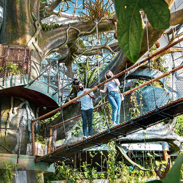 Dubai: Get a Taste of the Tropical Rainforest with The Green Planet Full-Day Entry Ticket 7