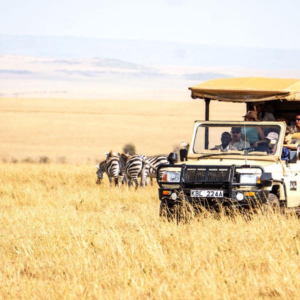 Deluxe 13-Day Kenya & Tanzania Great Migration Safari 2026 with Maasai Mara & Serengeti National Parks by  7