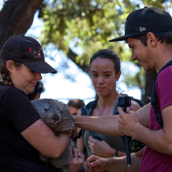 Immerse Yourself in Spectacular Forests on a Full-Day Mount Field National Park Tour with Return Transfers 7