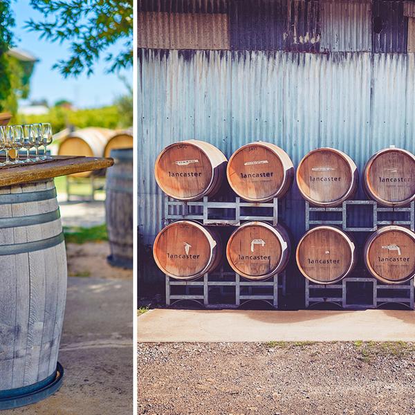 Half-Day Swan Valley Winery Tour with Tastings & Shared Cheese Board 4