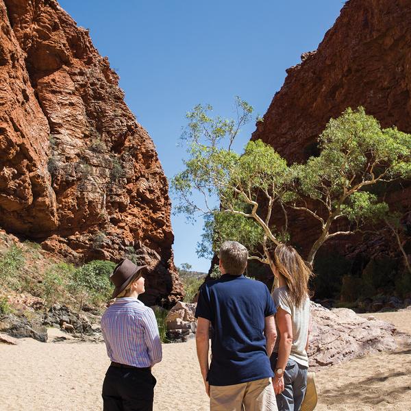 The Ghan Rail Journey from Adelaide to Darwin with Arnhem Land & Tiwi Islands Outback Adventure by Luxury Escapes Tours 8