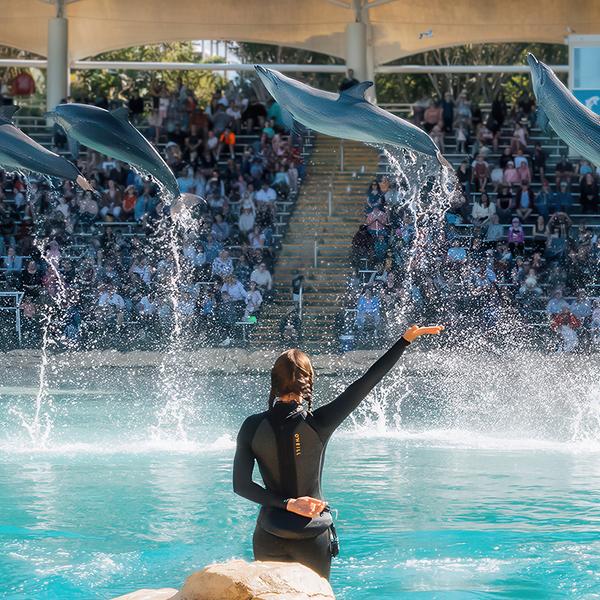 Five-Day Escape Pass to Movie World, Sea World & Wet'n'Wild 6