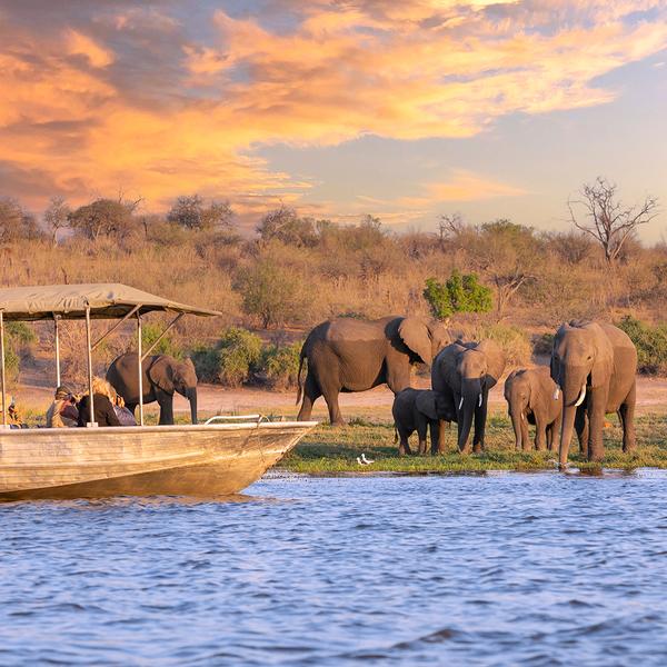 Southern Africa Safari with Five-Star Kruger Lodge Stay & Victoria Falls Sunset Cruise by Luxury Escapes Tours 1