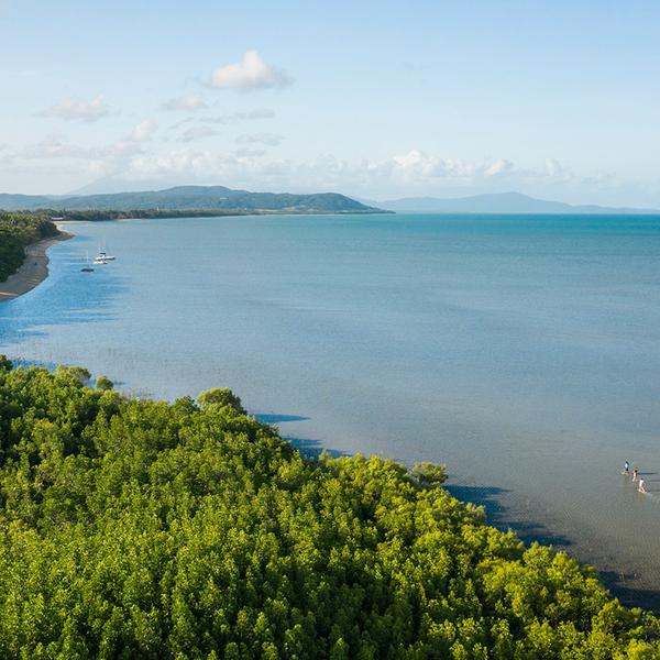 Cairns: Full-Day Daintree Dreaming Tour with Traditional Aboriginal Fishing Experience & Guided Walk  6