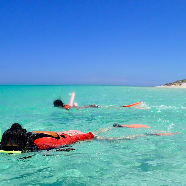 Exmouth: Full-Day Ningaloo Reef Snorkel Adventure with Morning Tea, Picnic Lunch & Snorkelling Gear 3