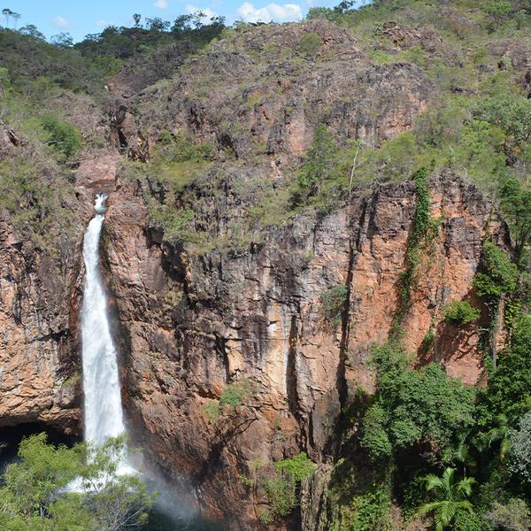 Darwin: Get Wild on an Intimate Litchfield National Park Eco-Tour with Lunch & Roundtrip Transfers 4