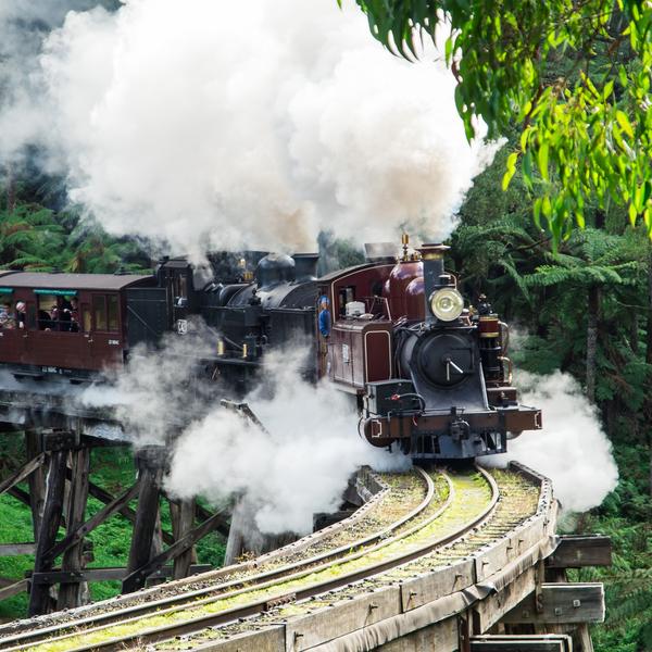 Full-Day Puffing Billy & Healesville Sanctuary Scenic Tour 3