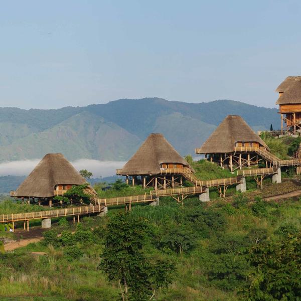 Uganda 2024 Small-Group Safari with Gorilla & Chimpanzee Trekking, Game Drives & Lake Victoria Cruise by Luxury Escapes Tours 4