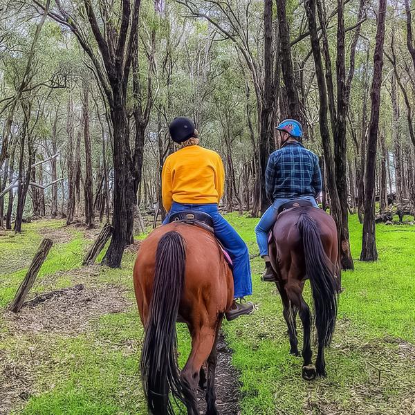 1.5-Hour Adventure Horse Ride with Grazing Platter & Glass of Wine in Jarrahdale 3
