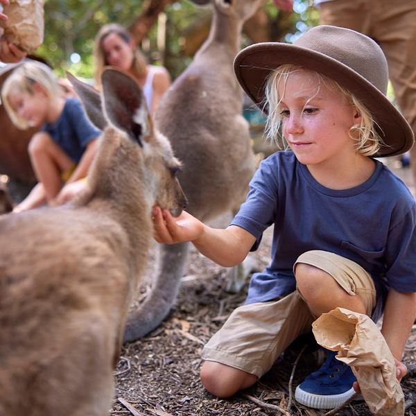 Admission to Award-Winning Australian Wildlife Habitat Sanctuary in Port Douglas 1