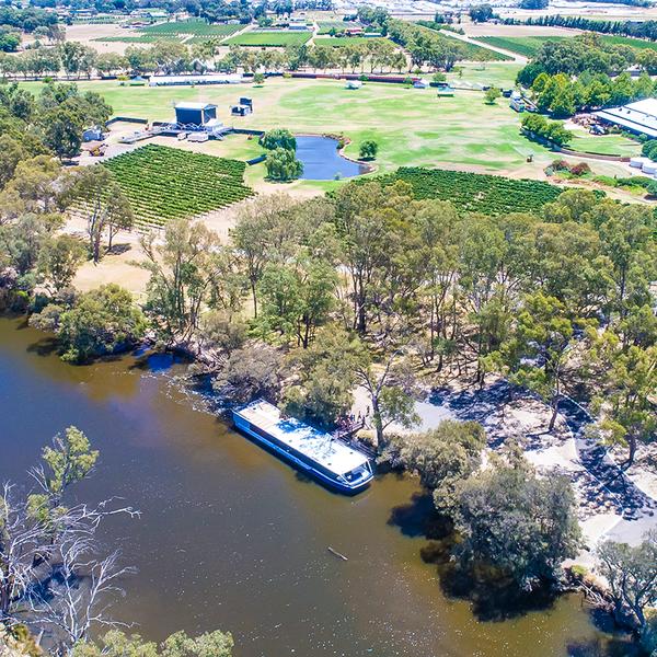 Full-Day Swan Valley Gourmet Wine Cruise with Welcome Drink & Platter Lunch 3