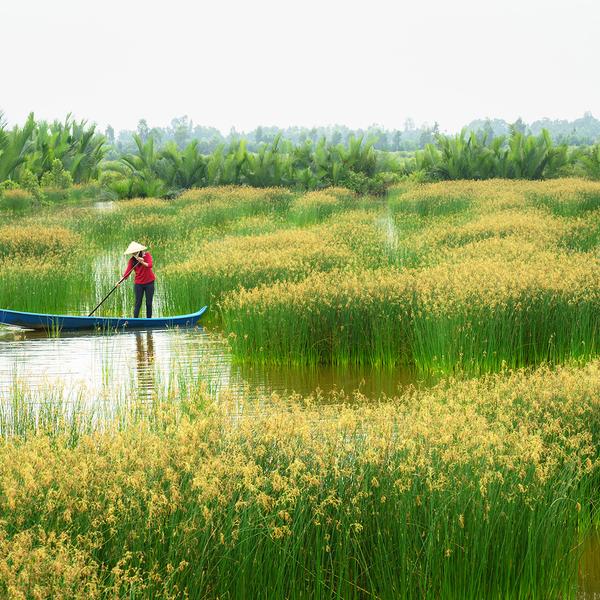 Extended by Popular Demand: Deluxe 10-Day Vietnam Highlights with Ha Long Bay + 9-Night Emerald Mekong River Cruise by  2