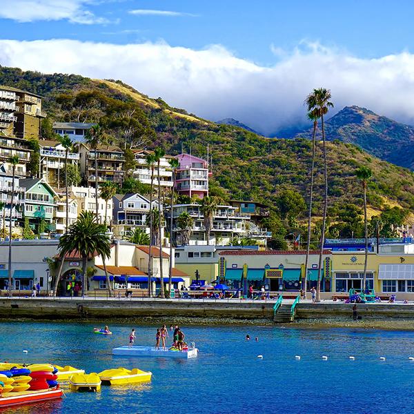 Anaheim: Explore Catalina Island with a Scenic Avalon Drive Tour, Undersea Expedition & Roundtrip Hotel Transfers 2