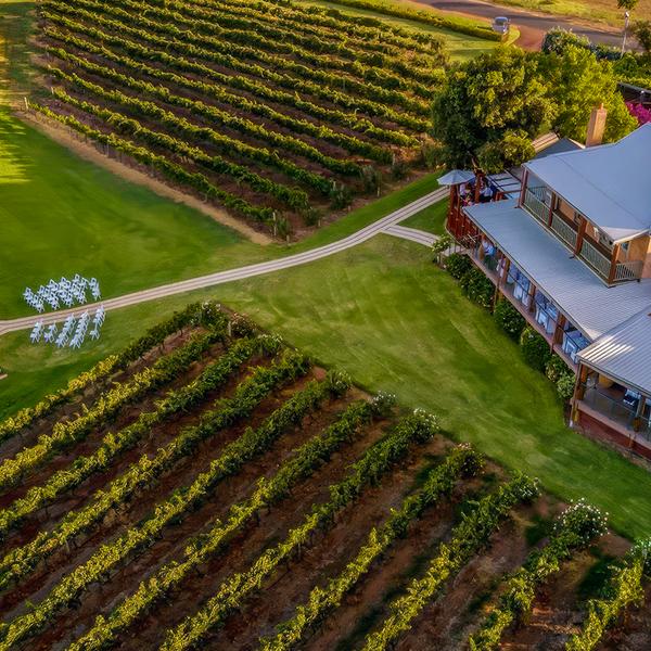 Herne Hill: Premium Cellar Door Tasting Session at Sittella with Optional Winery Tour & Cheese Platter Upgrade  1